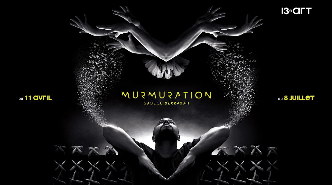 MURMURATION, spectacle hypnotique